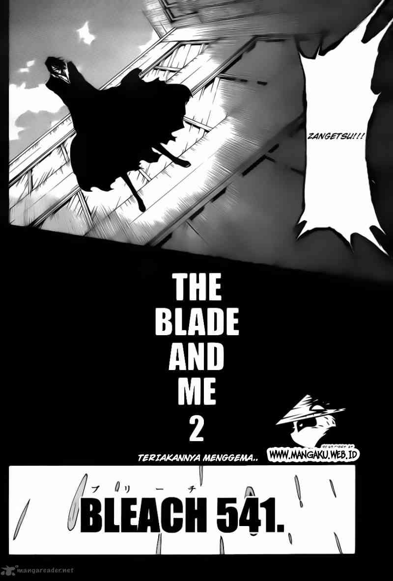 Bleach Bab 541 halaman 5