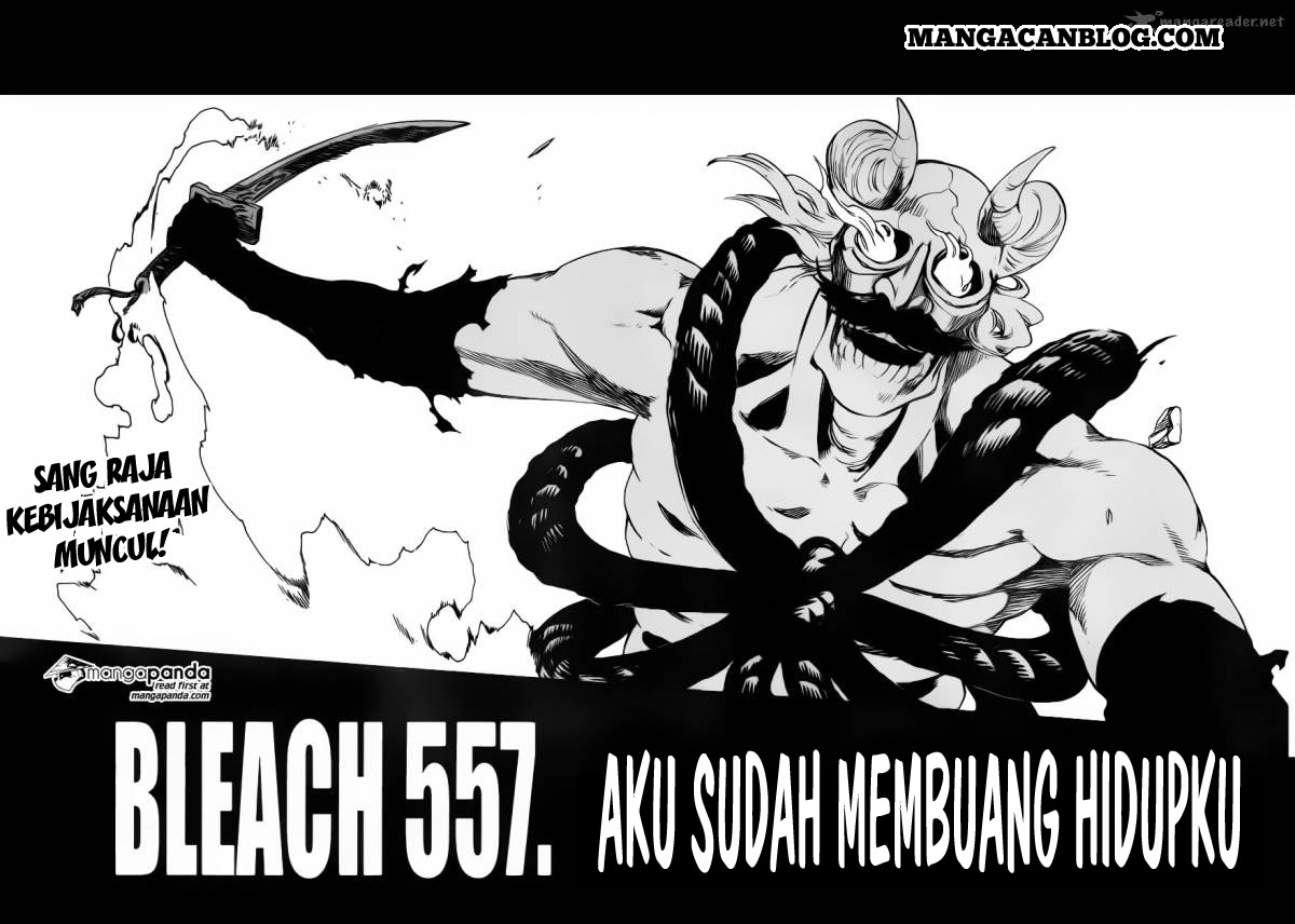 Bleach Bab 557 halaman 5