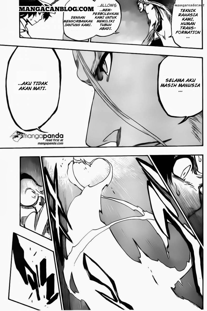 Bleach Bab 557 halaman 15
