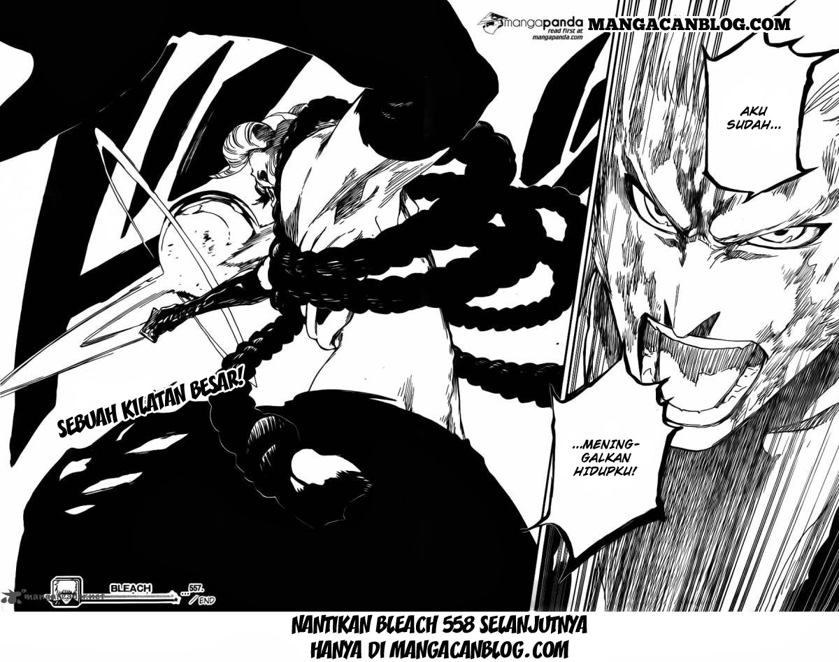 Bleach Bab 557 halaman 18