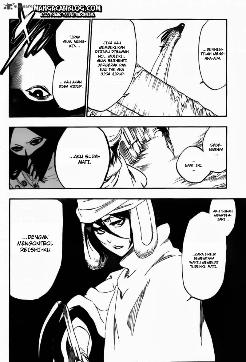 Bleach Bab 567 halaman 14