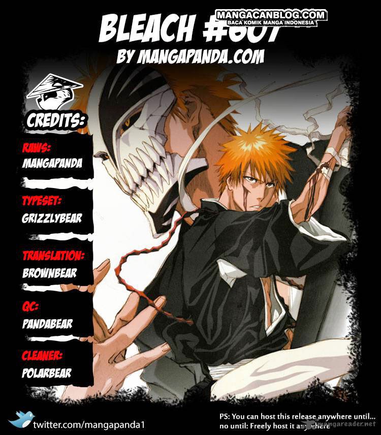 Bleach Bab 607 halaman 18