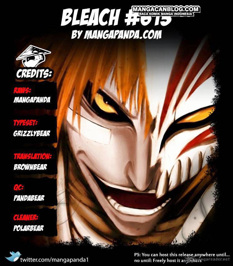 Bleach Bab 613 halaman 14