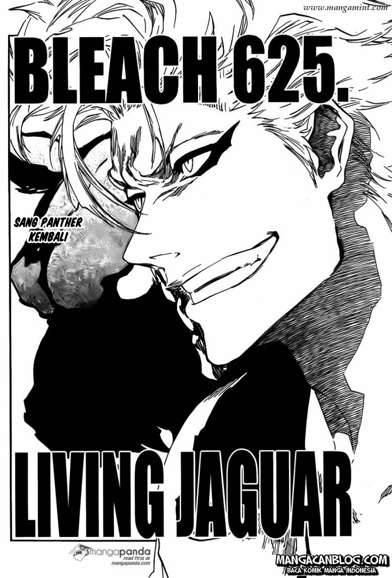 Bleach Bab 625 halaman 2
