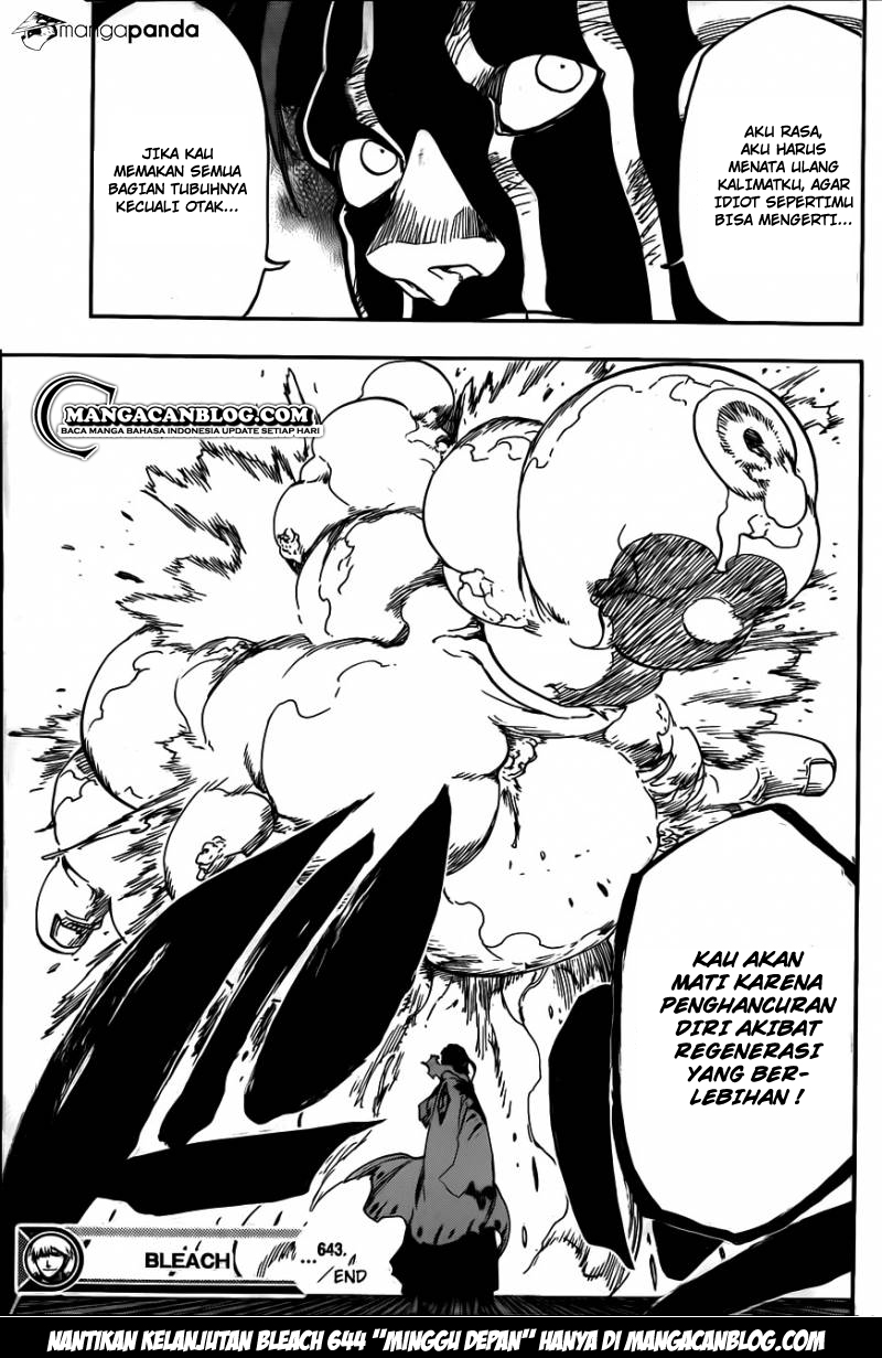 Bleach Bab 643 halaman 17