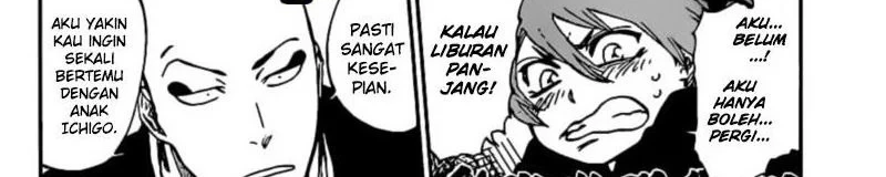 Bleach Bab 687.1 halaman 13