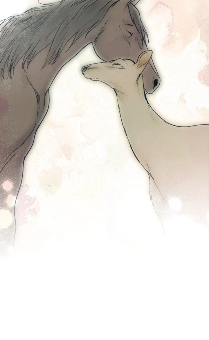 Blinded By The Setting Sun chapter 227 halaman 43