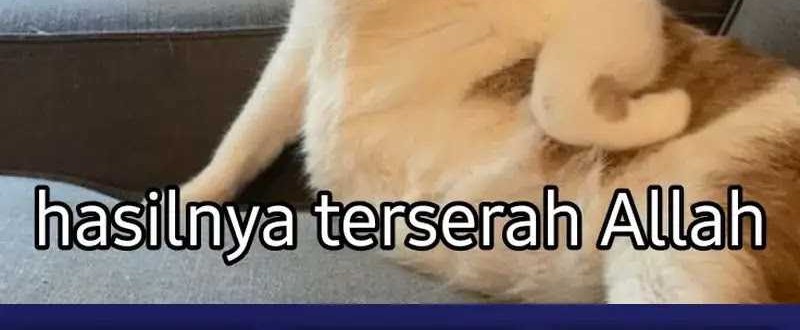 Brave X Devil Queen Bab 132 halaman 37
