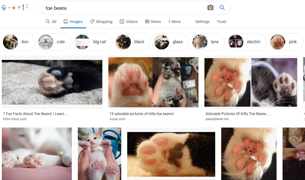 Cats Own the World chapter 8 halaman 8