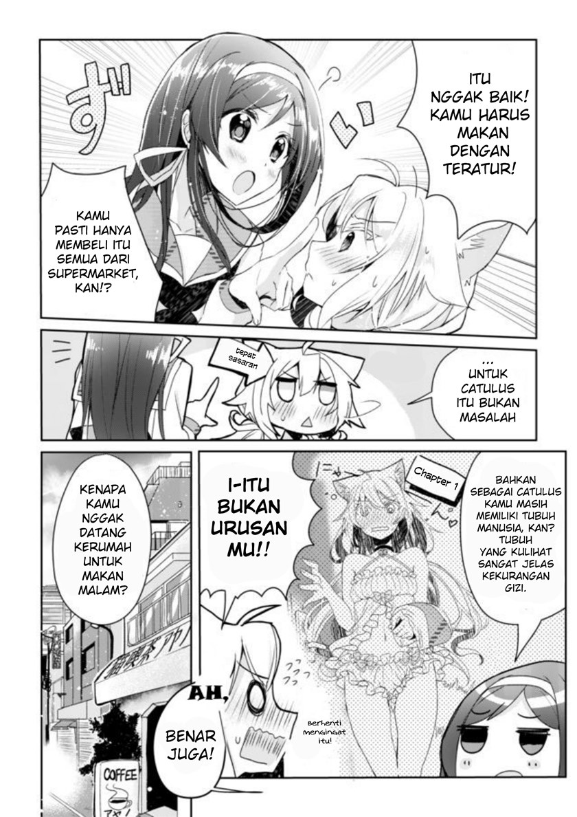 Catulus Syndrome Bab 2 halaman 6