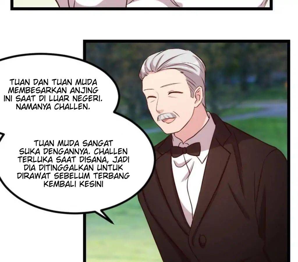 CEO’s Sudden Proposal Bab 76 halaman 31