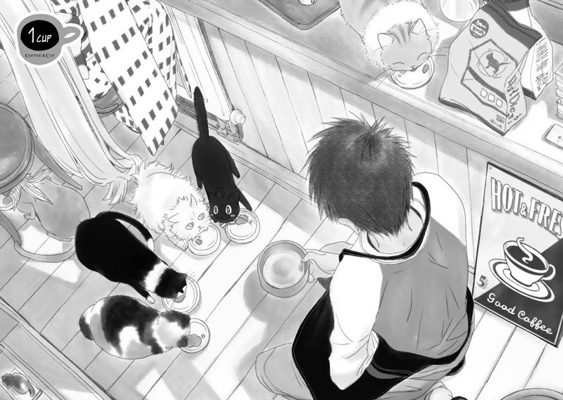 Coffee & Cat Bab 1 halaman 6