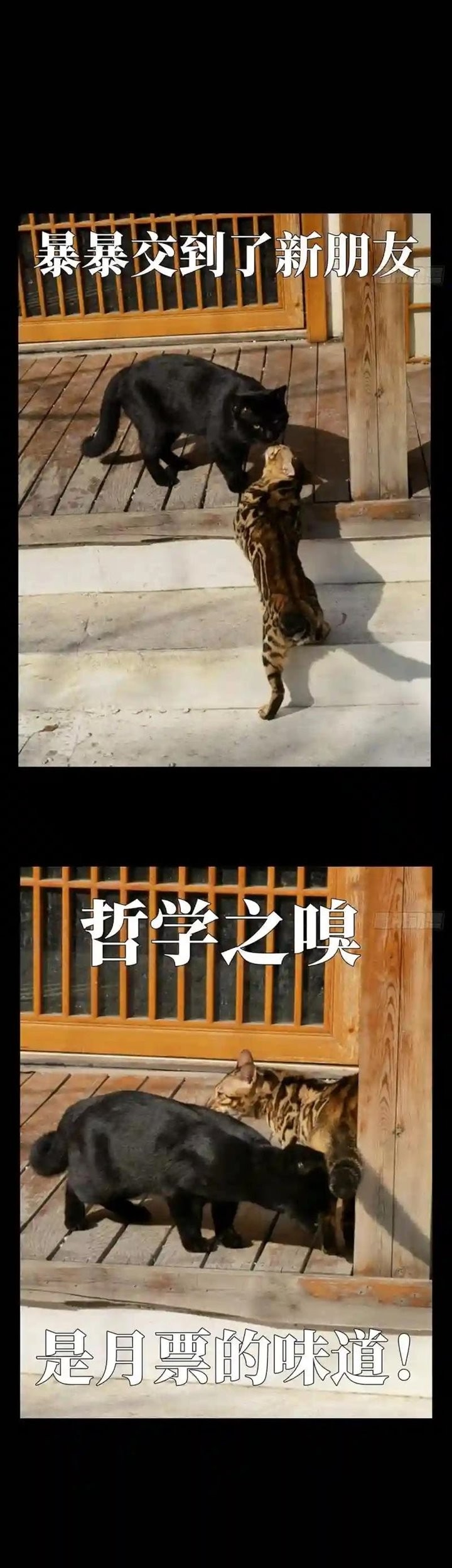 Da Xiang Wuxing Bab 117 halaman 26