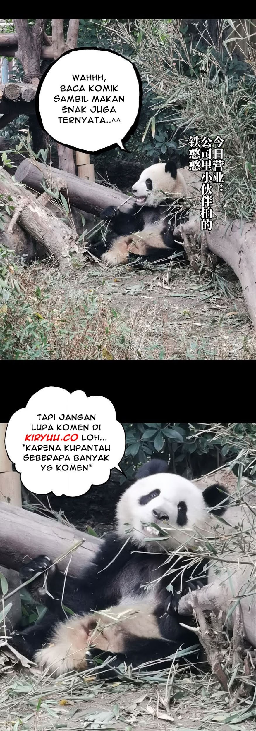 Da Xiang Wuxing Bab 23 halaman 18