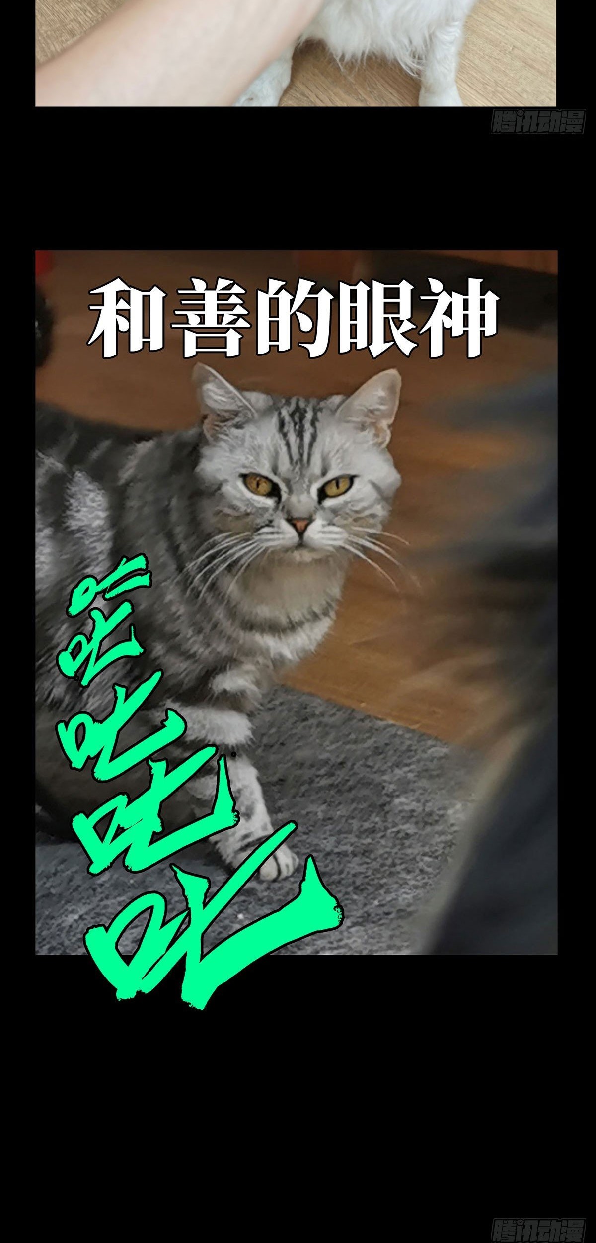 Da Xiang Wuxing Bab 64 halaman 37