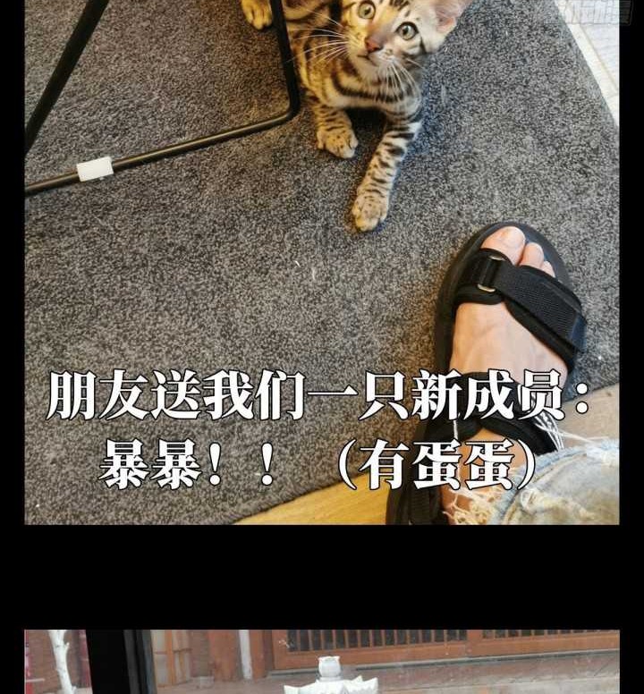 Da Xiang Wuxing Bab 67 halaman 27
