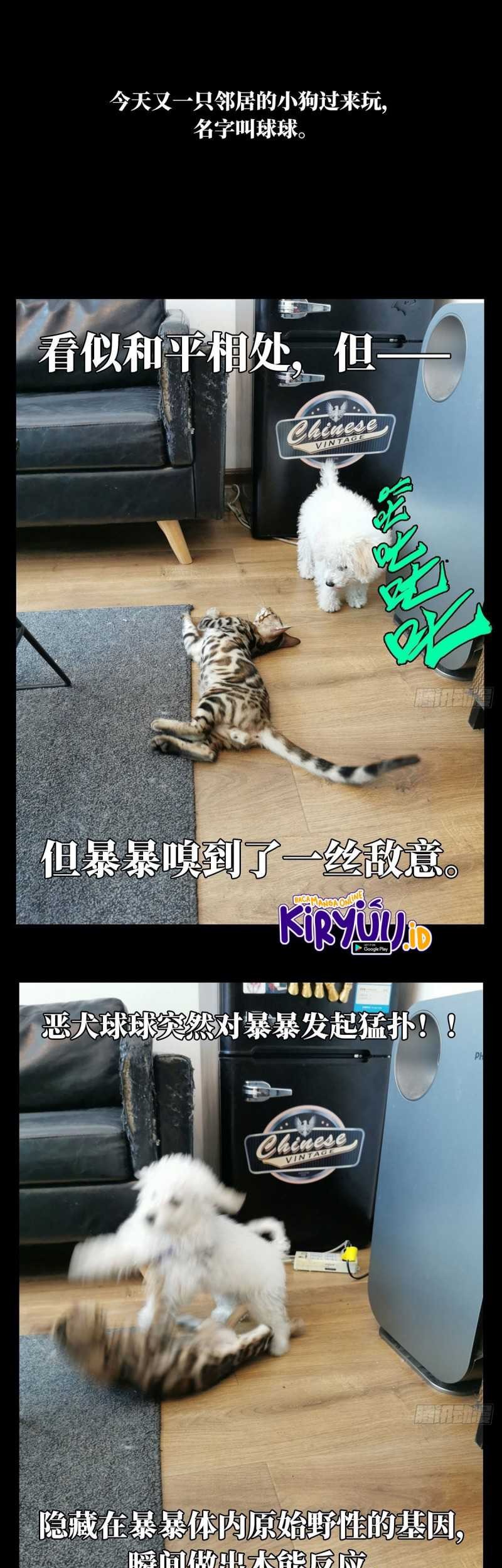 Da Xiang Wuxing Bab 72 halaman 25