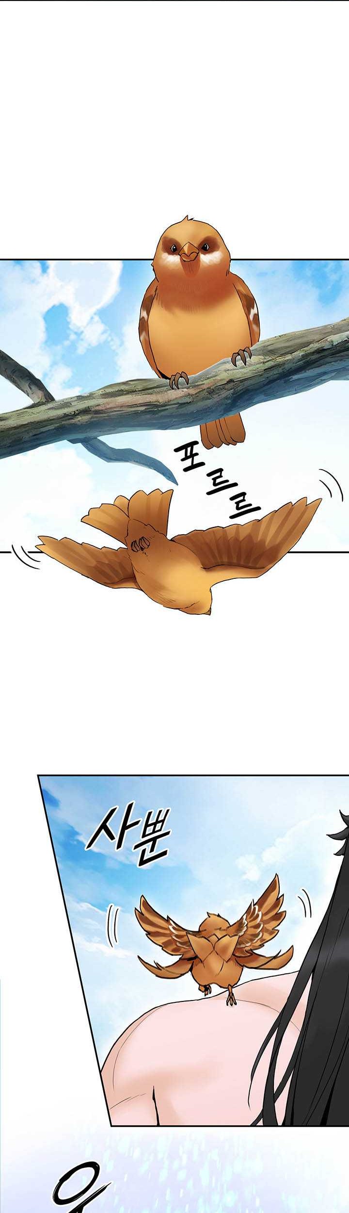 Dark and Light Martial Emperor chapter 31 halaman 26