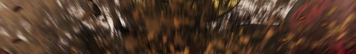 Dark Lady Isekai Bab 94 halaman 11
