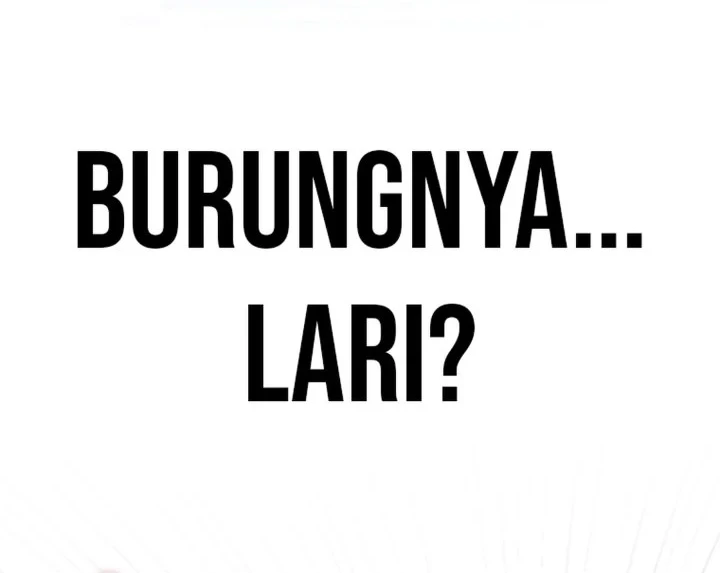Debut or Die Bab 80 halaman 44