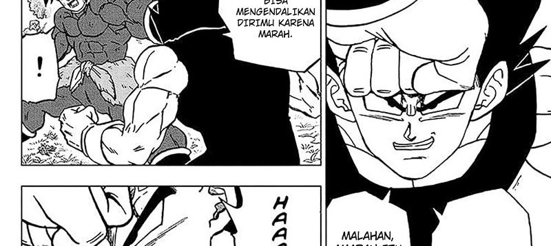 Dragon Ball Super chapter 101 halaman 73
