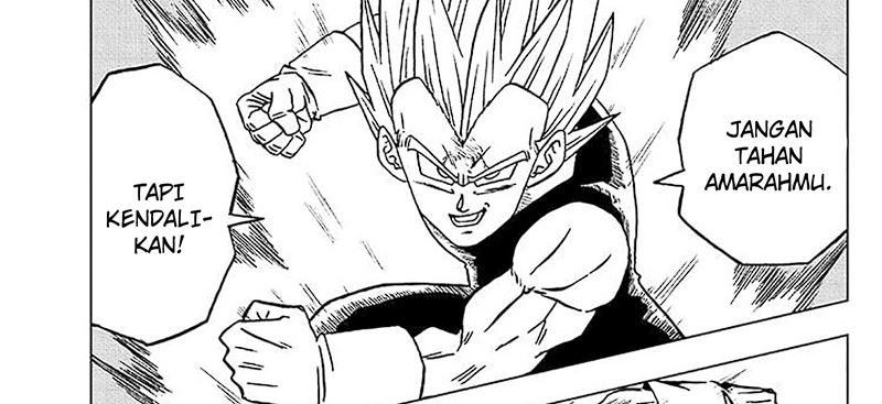 Dragon Ball Super chapter 101 halaman 76