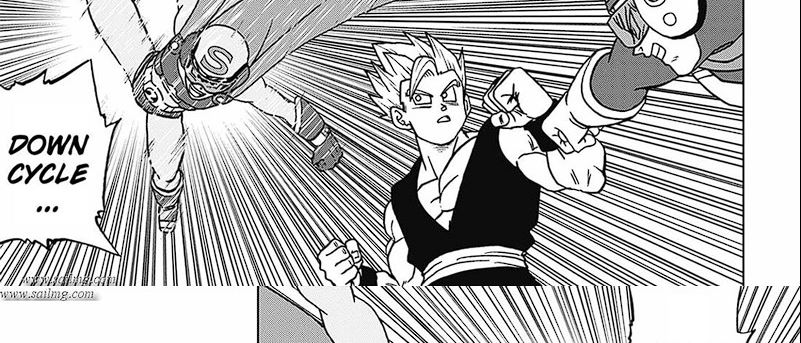 Dragon Ball Super chapter 102 halaman 45