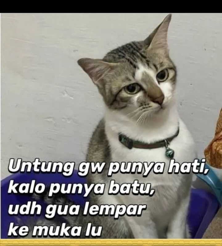 Dungeon Odyssey Bab 113 halaman 62