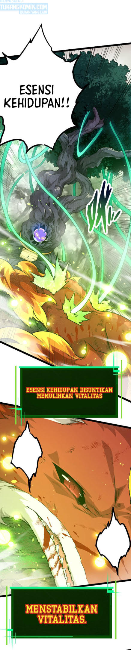 Evolution Begins With A Big Tree Bab 10 halaman 6