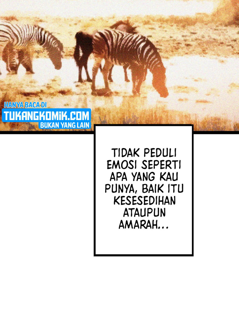 Evolution Begins With A Big Tree Bab 13 halaman 236