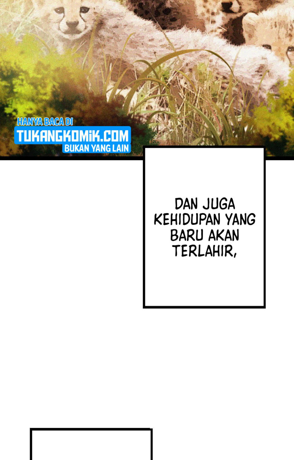 Evolution Begins With A Big Tree Bab 13 halaman 242