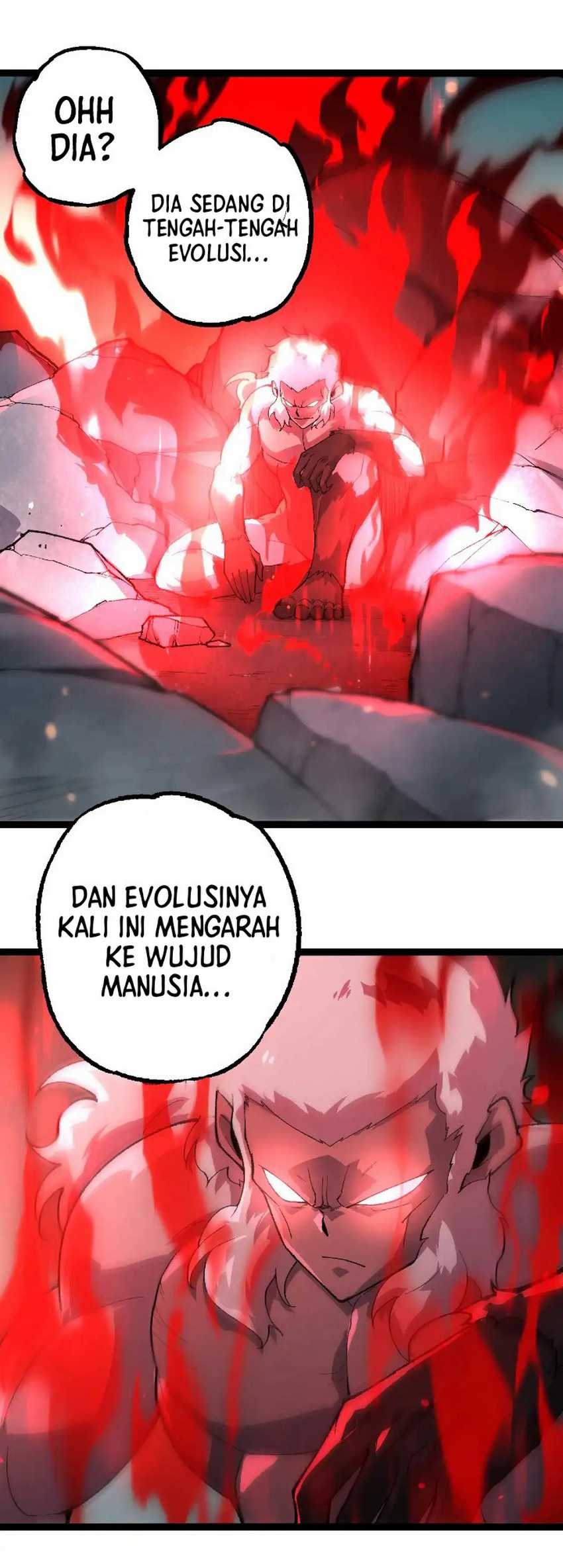 Evolution Begins With A Big Tree Bab 247 halaman 13