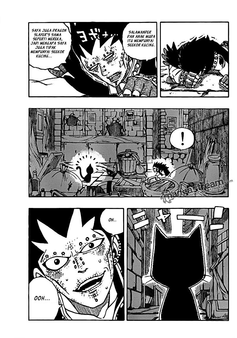 Fairy Tail chapter 167 halaman 14
