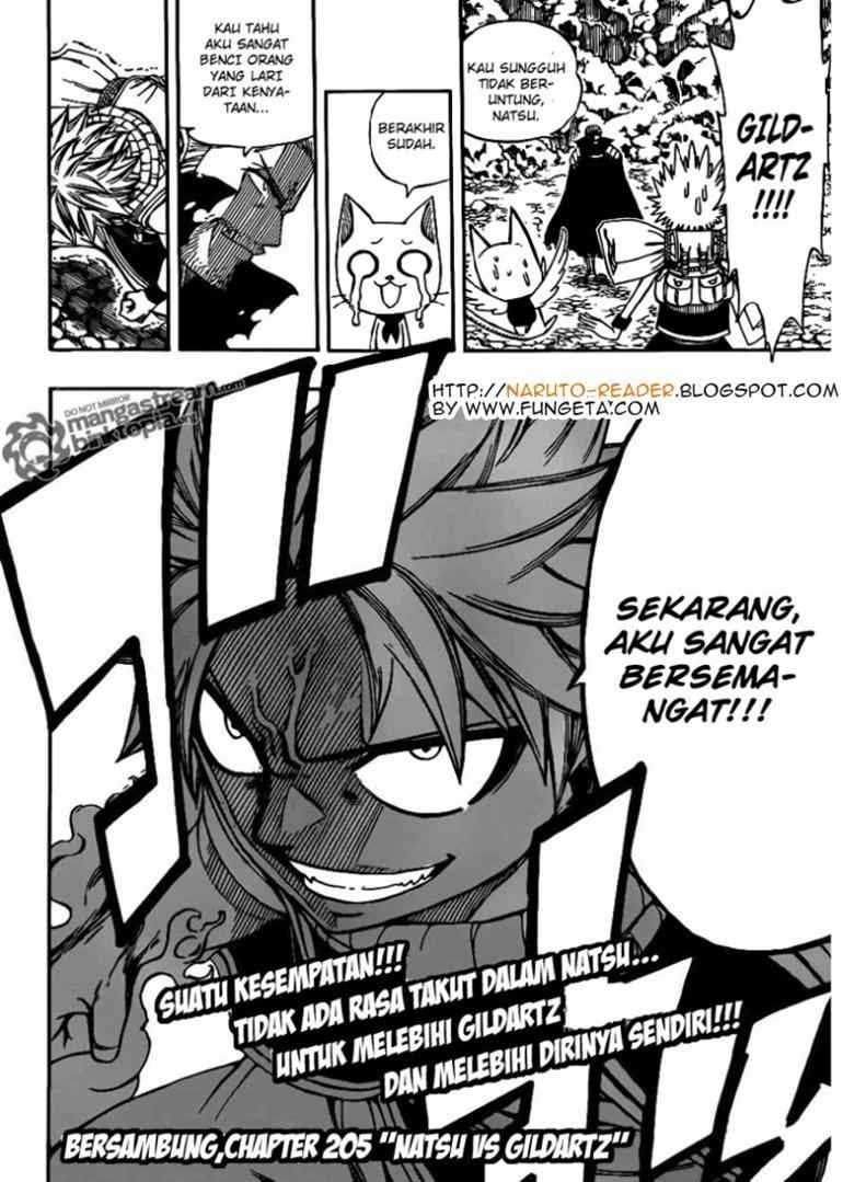 Fairy Tail chapter 204 halaman 19