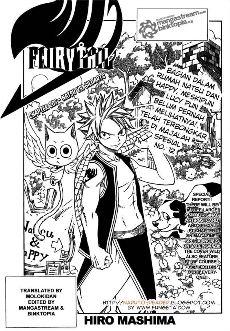 Fairy Tail Bab 205 halaman 1