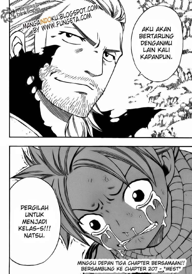 Fairy Tail chapter 206 halaman 20