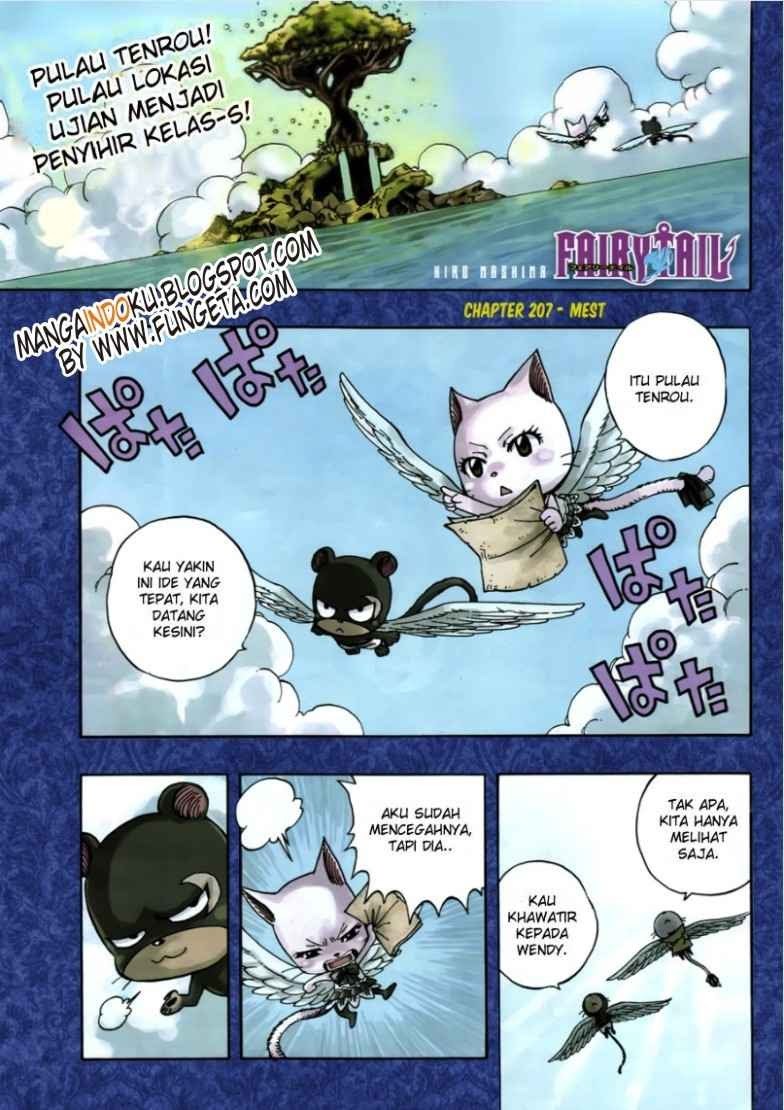 Fairy Tail chapter 207 halaman 1