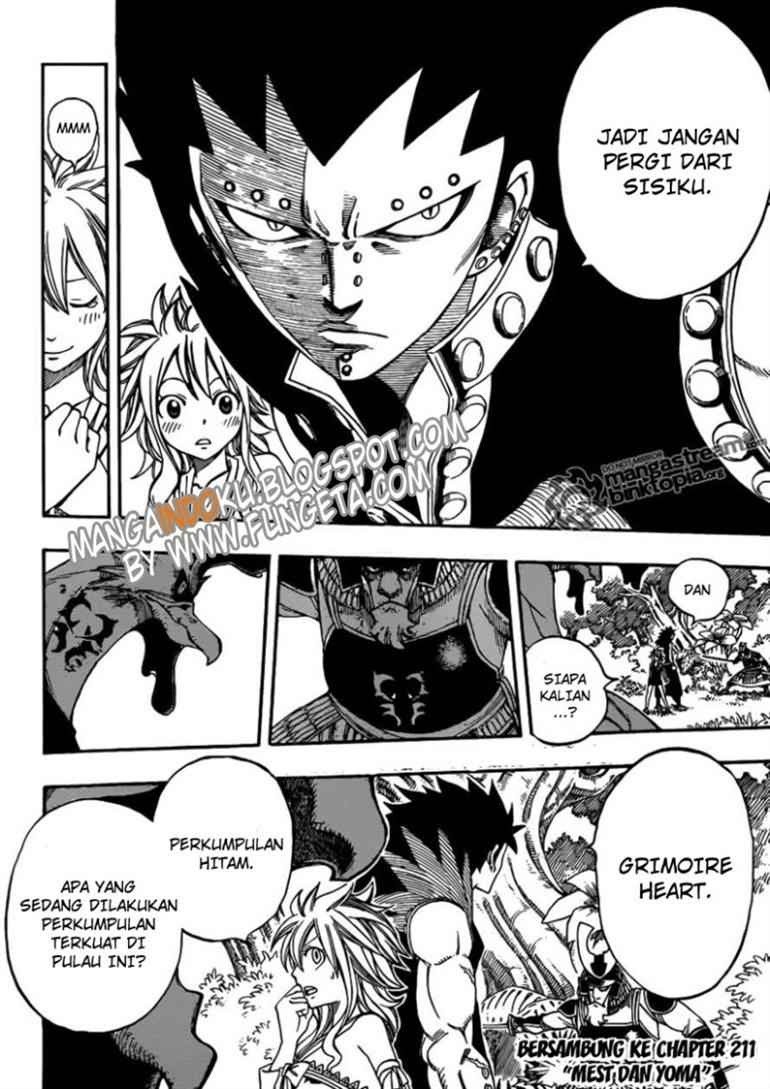 Fairy Tail chapter 210 halaman 19