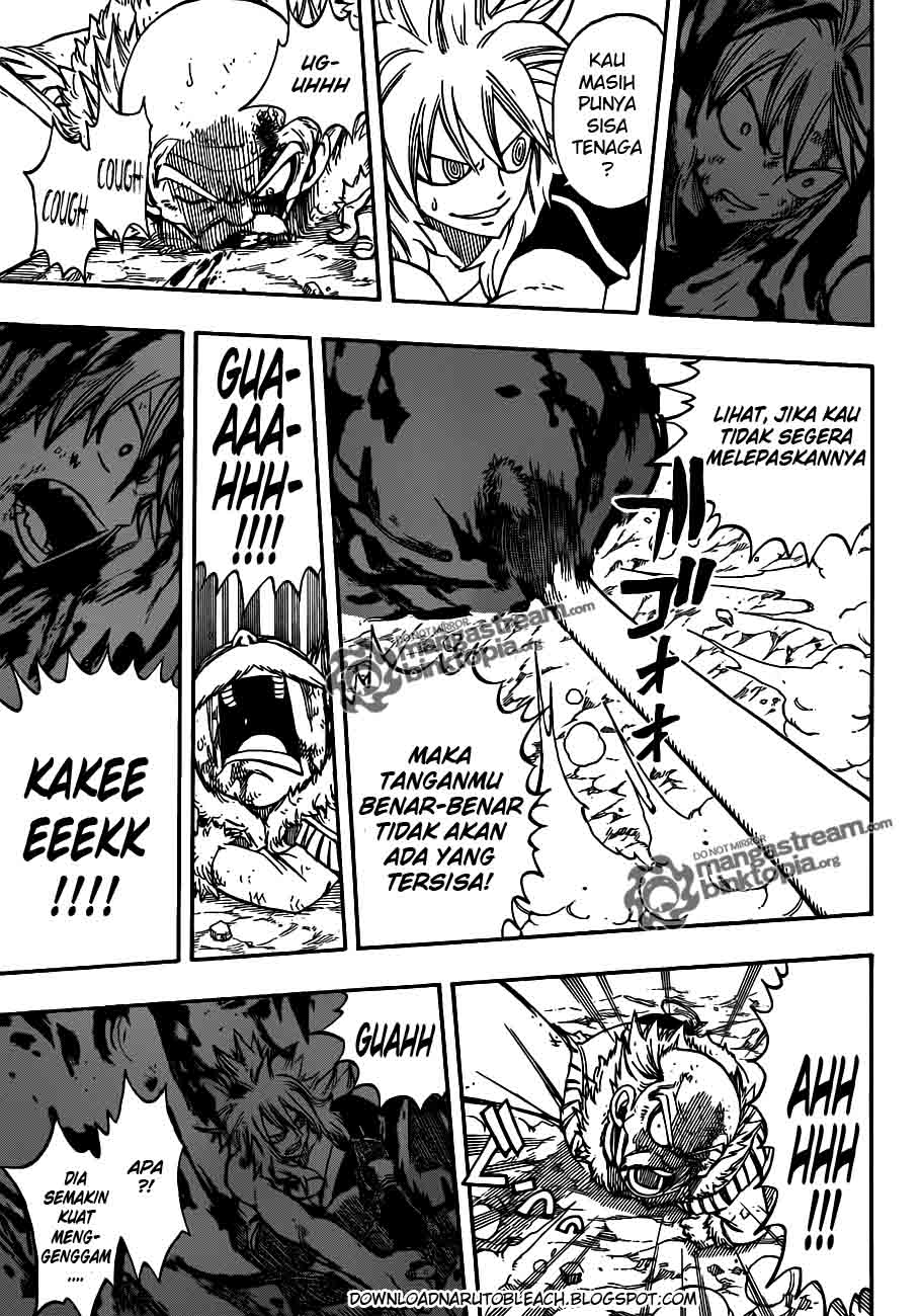 Fairy Tail Bab 219 halaman 13