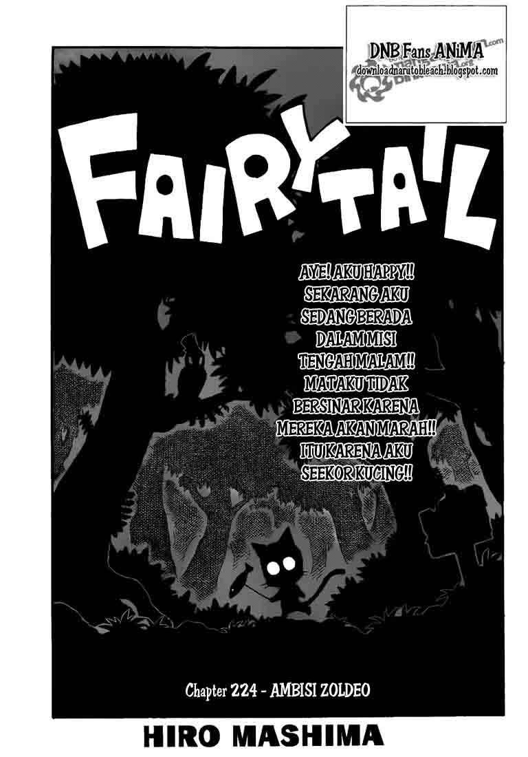 Fairy Tail Bab 224 halaman 1
