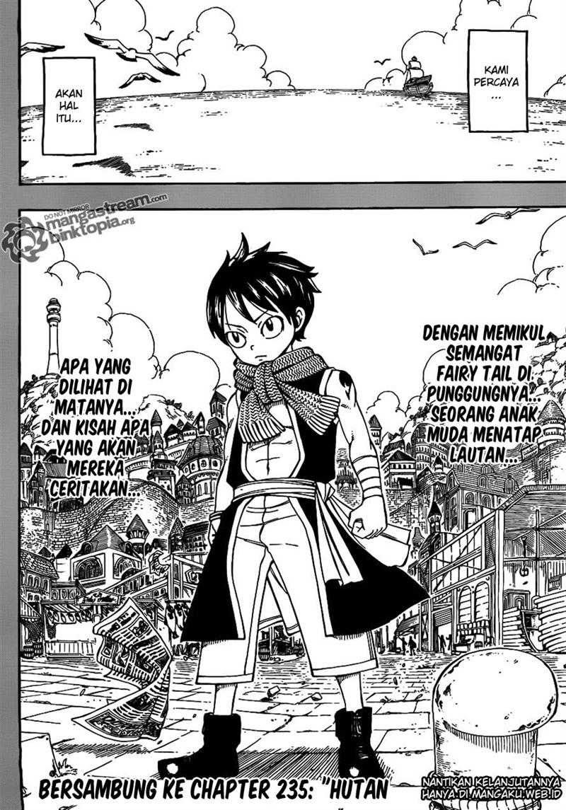 Fairy Tail Bab 234 halaman 20