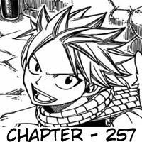 Fairy Tail chapter 257 halaman 21