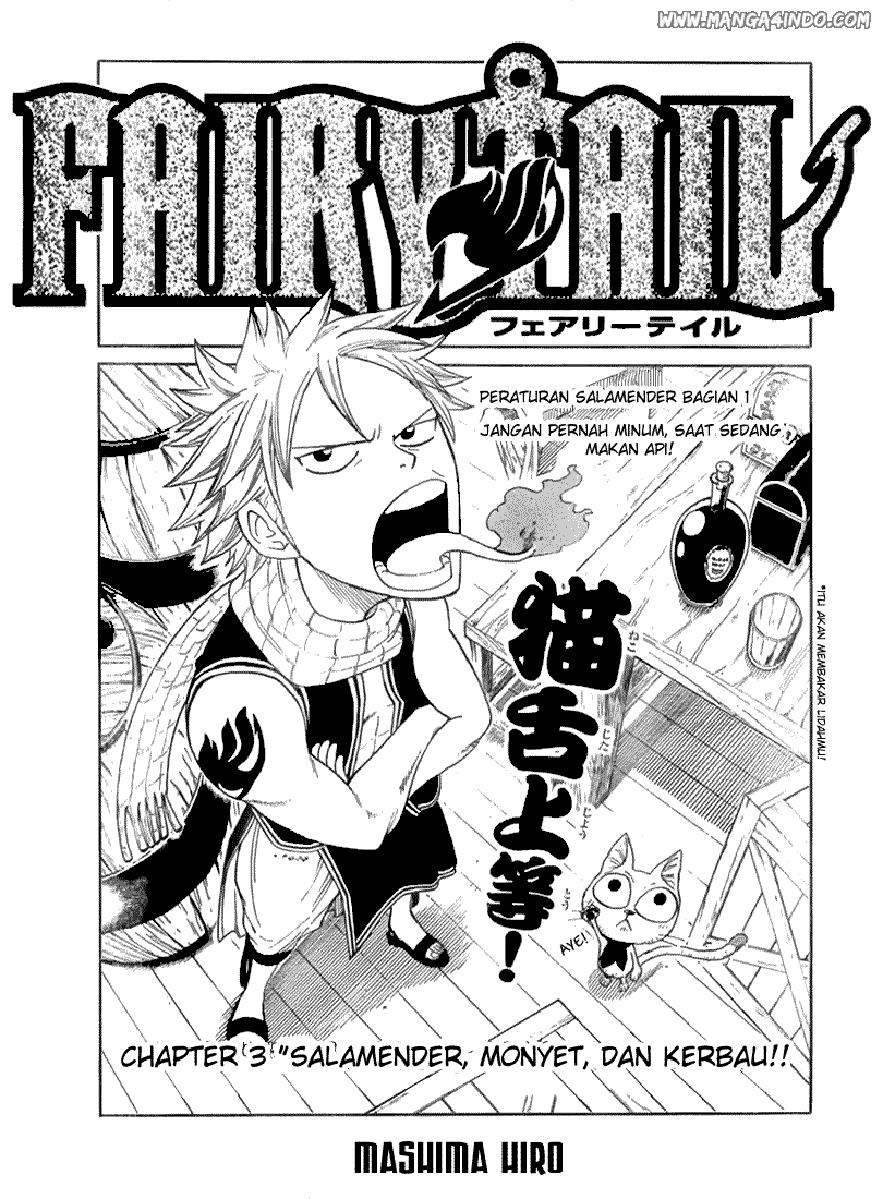 Fairy Tail Bab 3 halaman 4