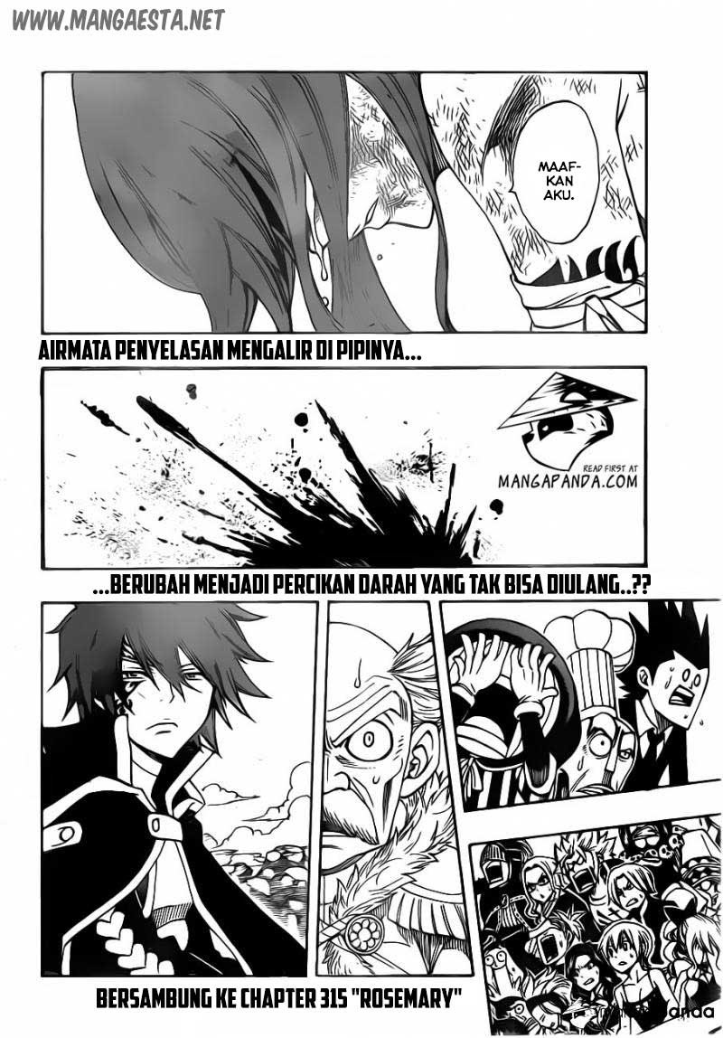 Fairy Tail Bab 314 halaman 21