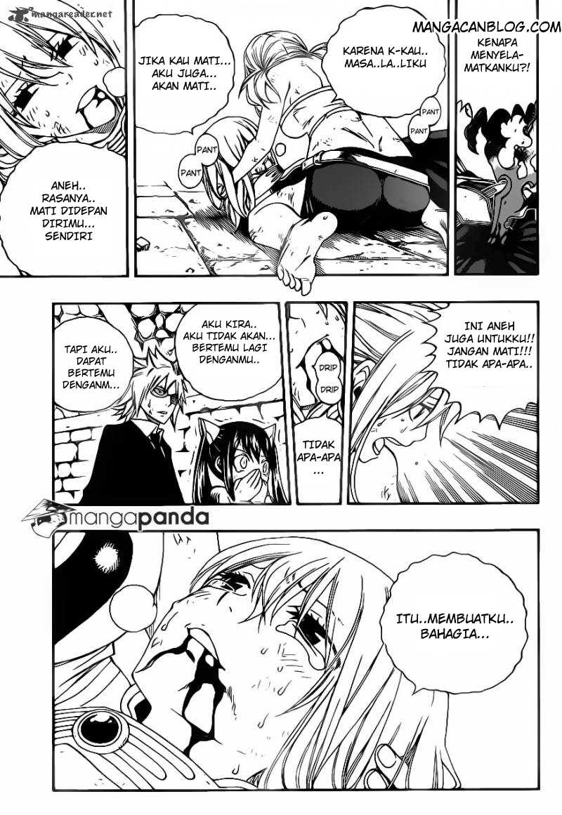 Fairy Tail chapter 324 halaman 14