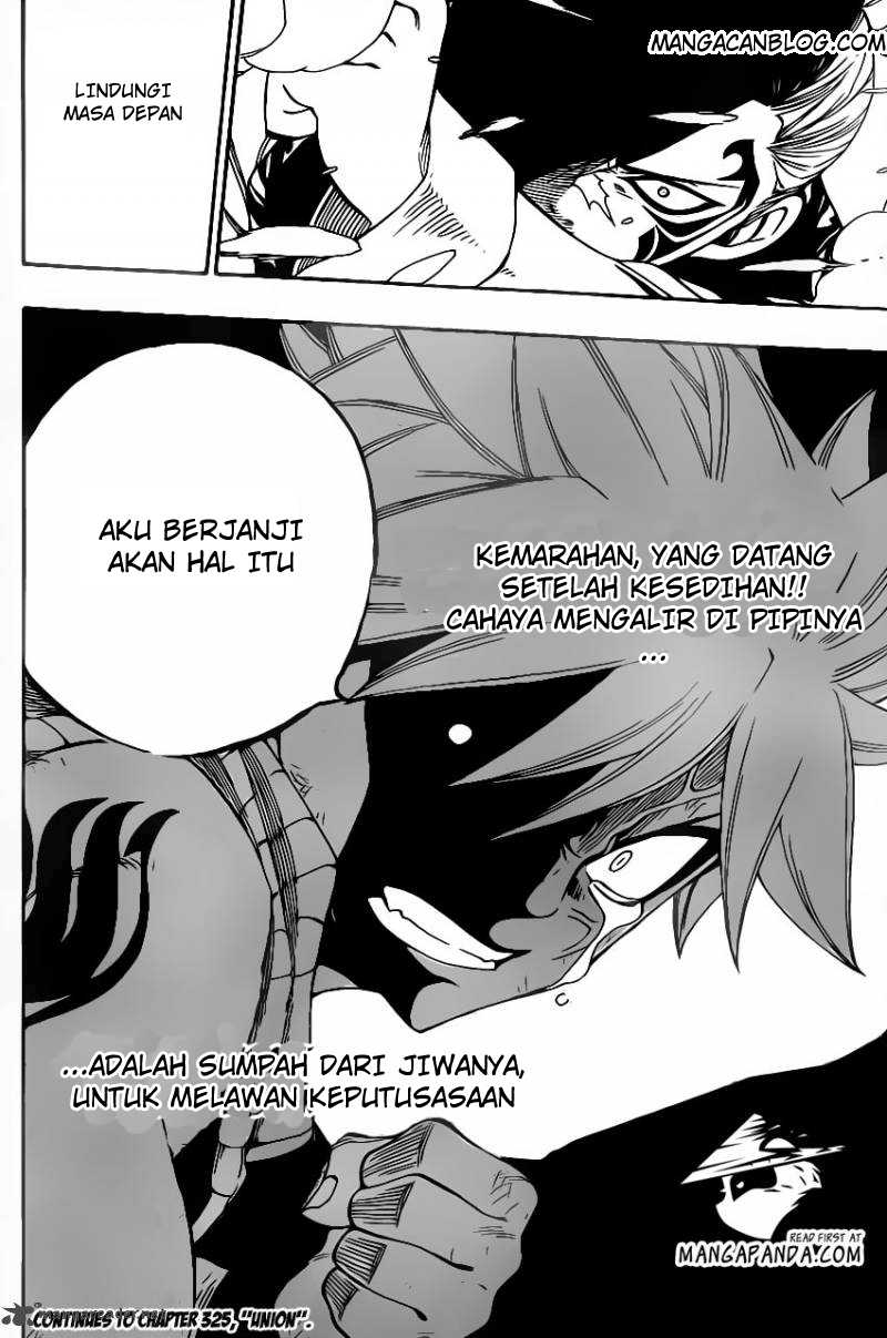 Fairy Tail chapter 324 halaman 20