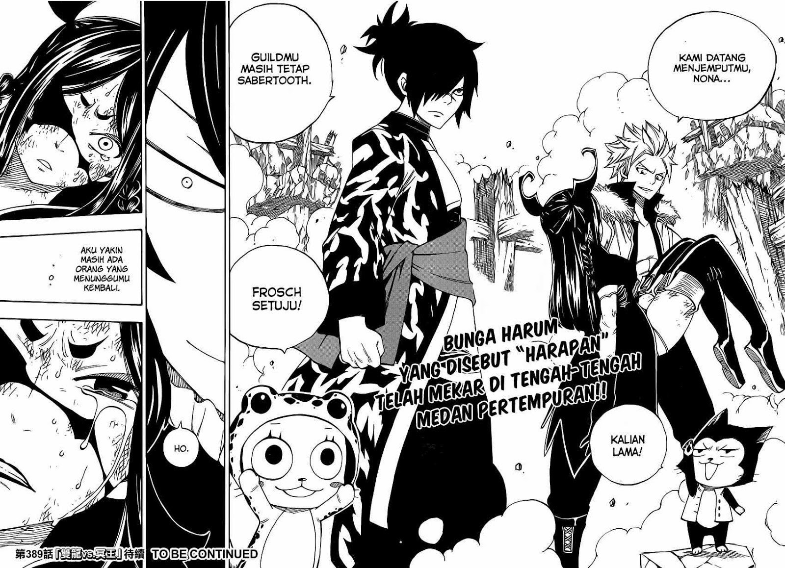 Fairy Tail chapter 388 halaman 19
