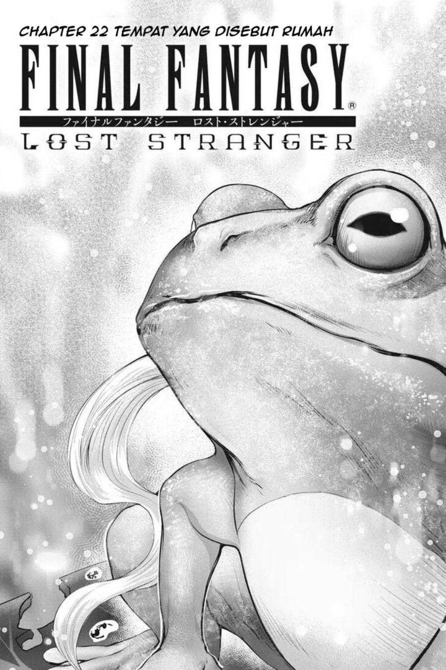 Final Fantasy: Lost Stranger Bab 22 halaman 2