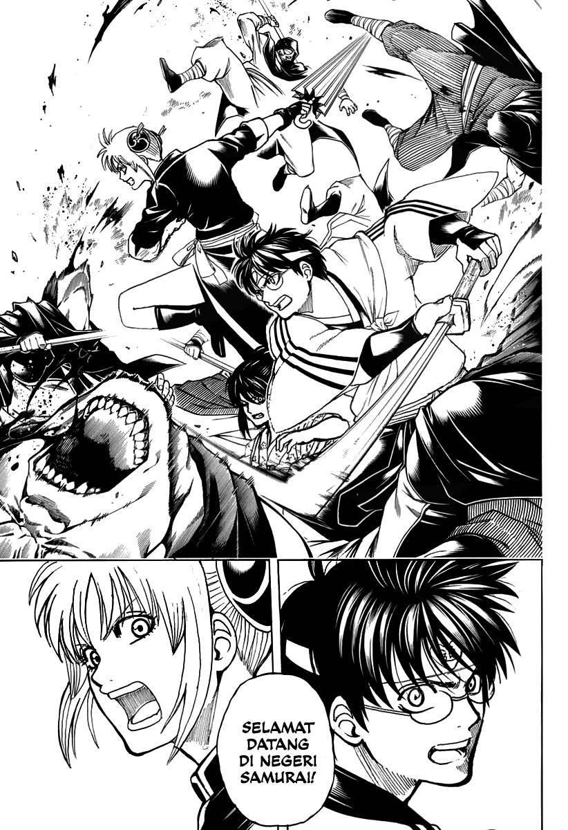Gintama chapter 699 halaman 31