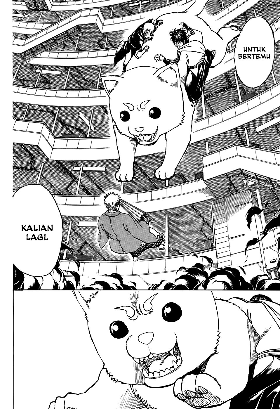 Gintama Bab 701 halaman 14